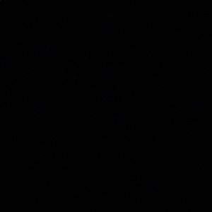 Meet your Posher, Giana